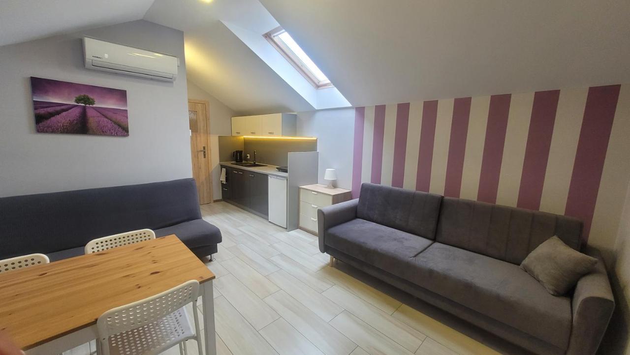 Wrzosowe Wzgorze Apartamenty Хенціни Екстер'єр фото