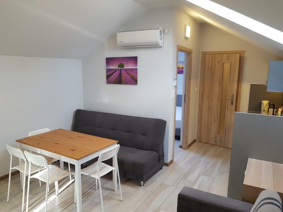 Wrzosowe Wzgorze Apartamenty Хенціни Екстер'єр фото